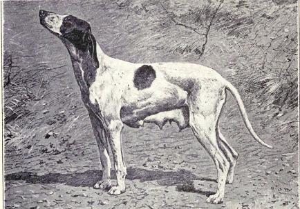 Dupuy_Pointer_from_1915
