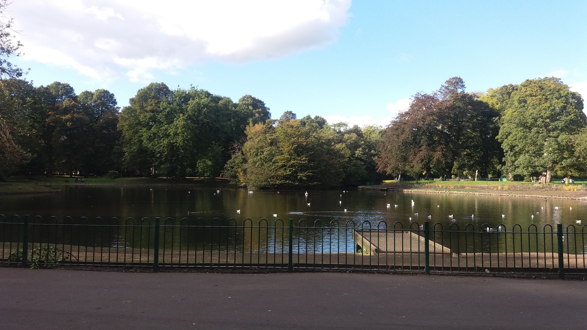 Gudog's top dog walks in Manchester - Alexandra Park