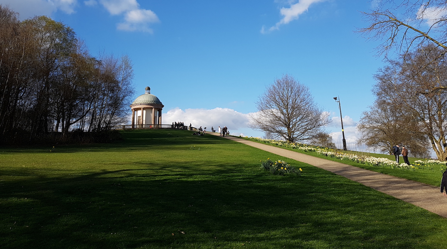 Gudog top dog walk Heaton Park in Manchester