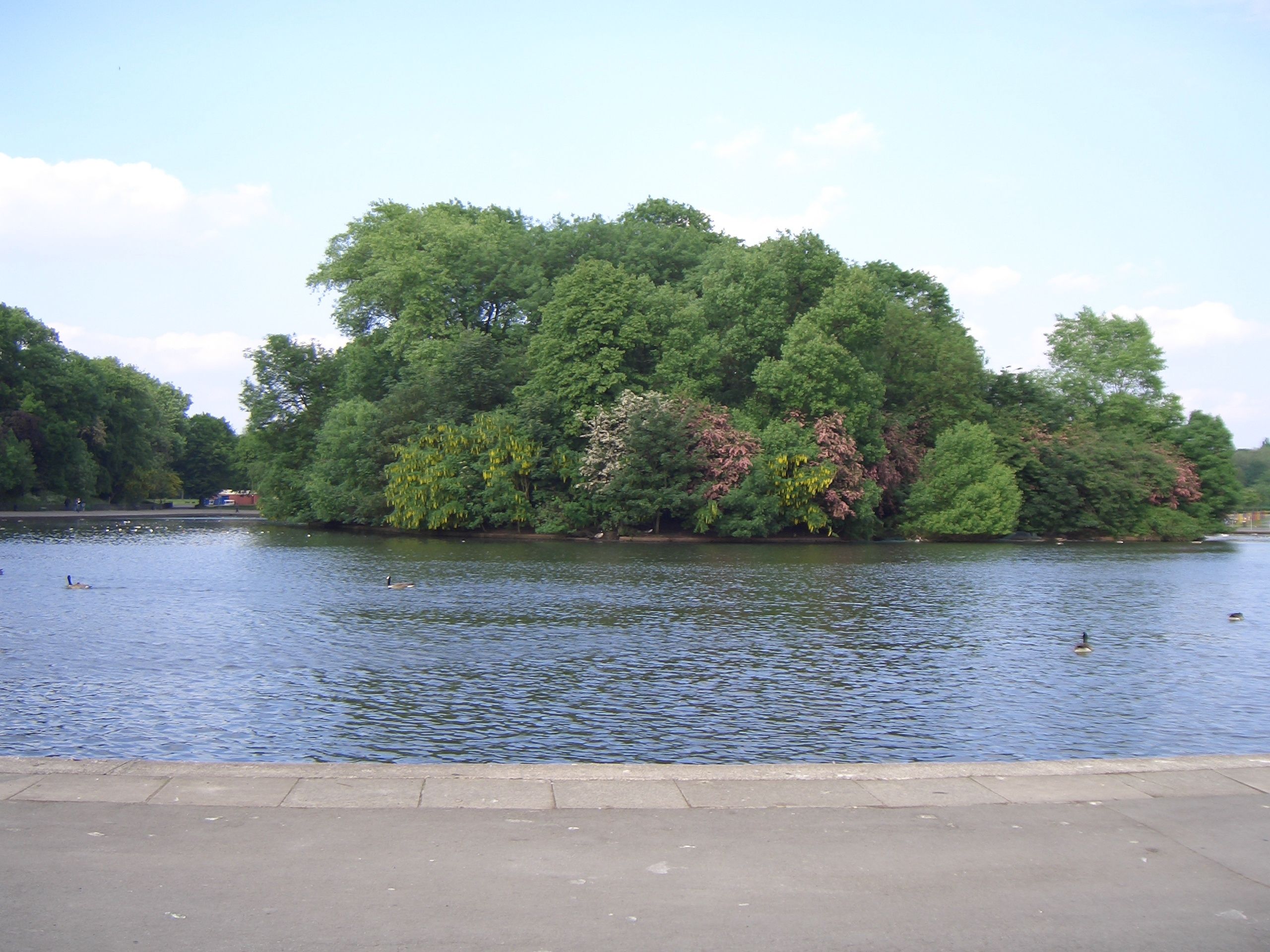 Dog walks in Manchester - Gudog chooses Platt Fields Park