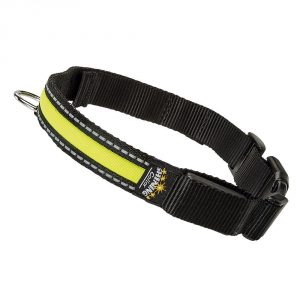 Luminous collar for dogs