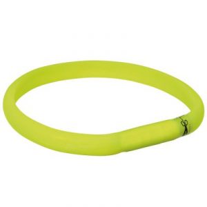 Light bands for dogs
