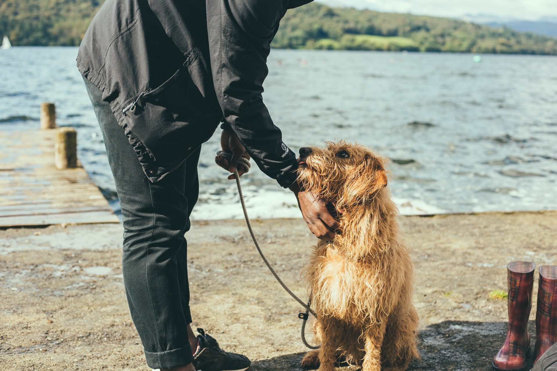 dog and owner