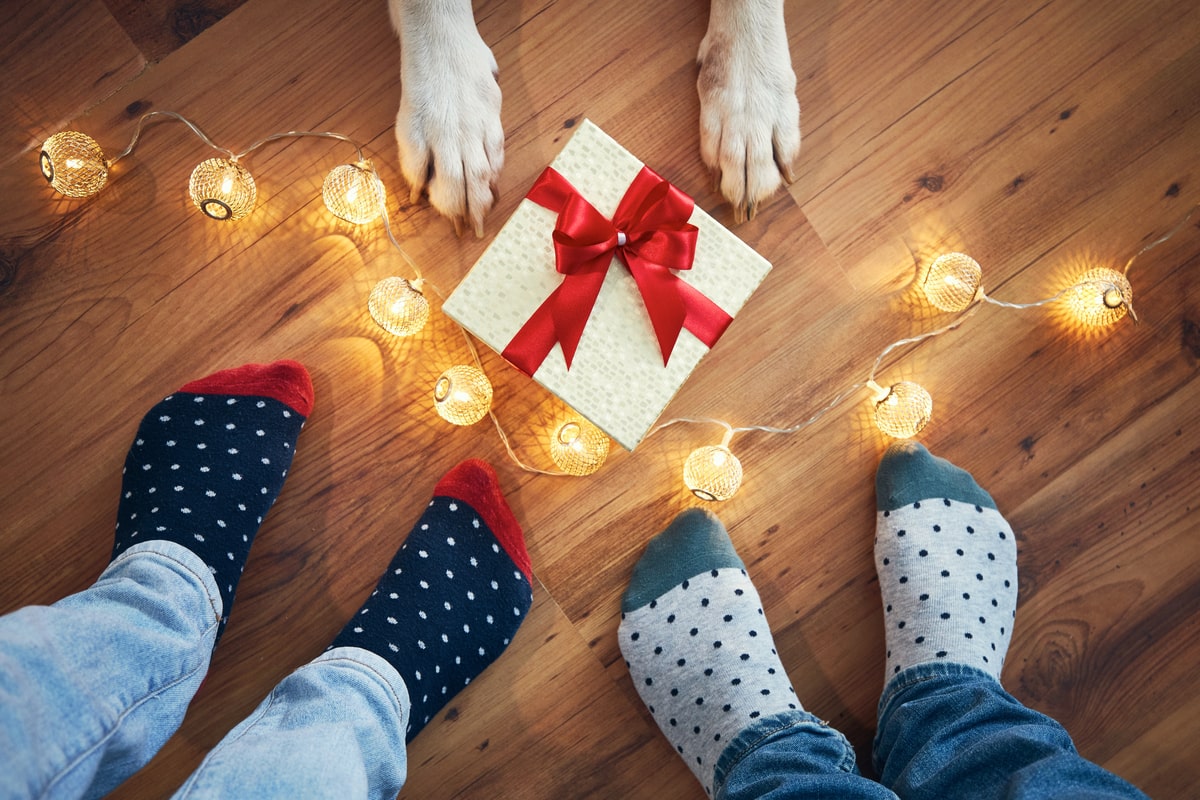 Tips for celebrating Christmas with your dog